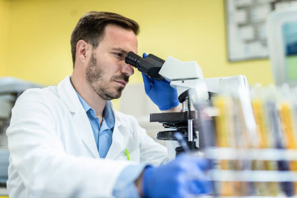 سئو تخصصی پزشکی و نرمافزارهای مدیریت برای آزمایشگاههای پاتوبیولوژی در تبریز: ارتقاء وبسایت سلامت و دقت تشخیصی 2026 - دقت تشخیص آزمایشگاهی