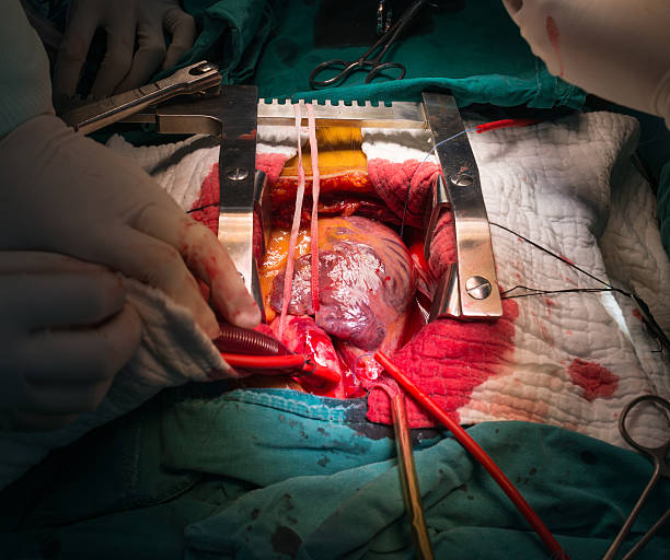 برندینگ دیجیتال پزشکی و مشاوره بازاریابی سلامت برای فوق تخصص قلب و عروق اینترونشنال در مشهد: استراتژی جذب بیماران ۲۰۲۶ و جذب بیمار قلب