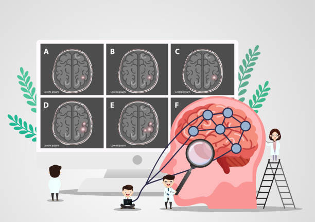 سئو فوق تخصص مغز و اعصاب در تبریز: بهینهسازی تجربه کاربری (UX) بیماران و نوبتدهی آنلاین - بازاریابی دیجیتال پزشکان