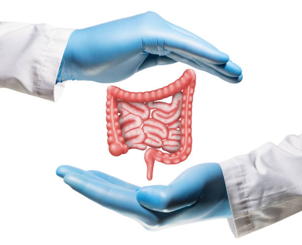 مفاهیم سلامت گوارش و کبد در وبسایتهای پزشکی