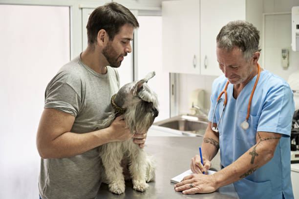 تجویز دامپزشک و اهمیت اعتماد در برندینگ دیجیتال دامپزشکان تبریز