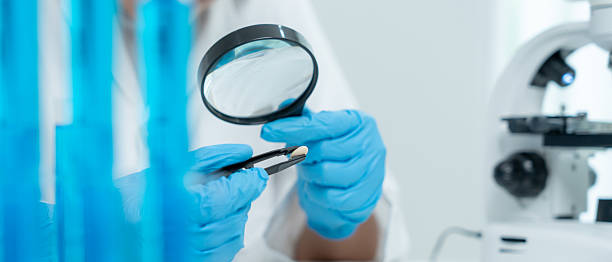 سئو آزمایشگاه تشخیص طبی و برندینگ دیجیتال پزشکی: دانشمندی در حال بررسی نتایج آزمایشگاهی