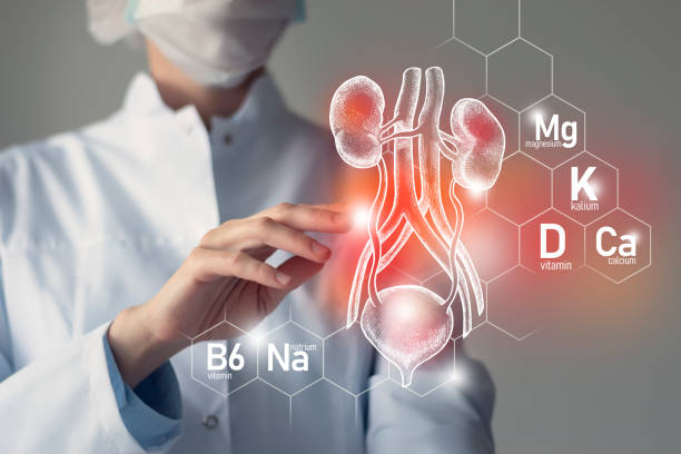 طراحی سایت پزشکی هوشمند برای فوق تخصص غدد و متابولیسم در اراک: ارتقای تجربه بیمار و افزایش نوبتدهی آنلاین ۲۰۲۶ - فوق تخصص غدد و متابولیسم