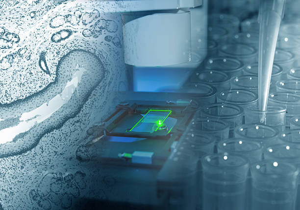 پیادهسازی CRM پزشکی و نرمافزارهای مدیریت هوشمند برای آزمایشگاههای تخصصی پاتوبیولوژی در مشهد: ارتقای وبسایت سلامت و تجربه بیمار ۲۰۲۶ - ارتقای وبسایت سلامت، نرم افزار مدیریت آزمایشگاه