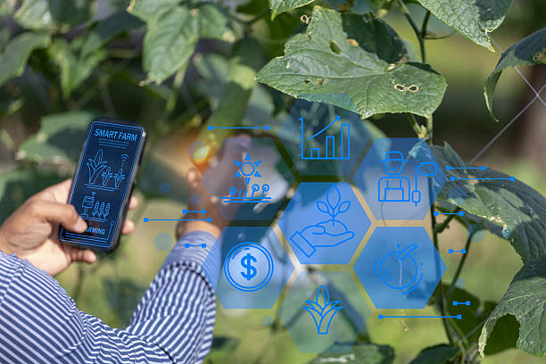 کشاورز هوشمند در حال تعامل با رابط کاربری هولوگرافیک یک مزرعه هوشمند - تحول دیجیتال مارکتینگ با طراحی سایت یکپارچه با نرم افزار حسابداری برای فروشگاههای کشاورزی در ساری