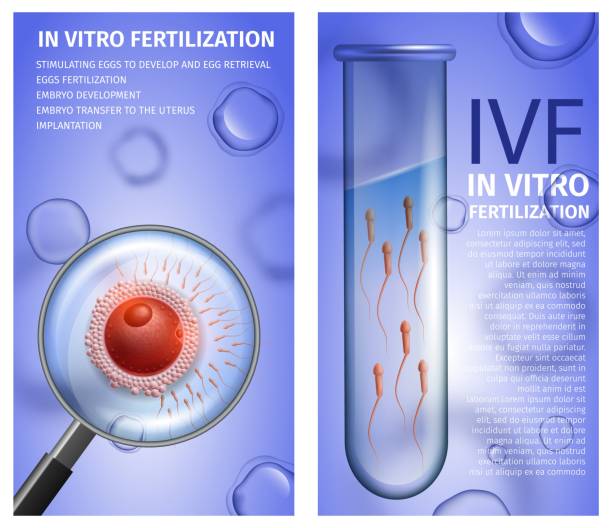 سئو تخصصی پزشکی و طراحی UX بیماران برای مراکز ناباروری و IVF در مشهد: افزایش نرخ تبدیل و اعتماد آنلاین - بازاریابی IVF