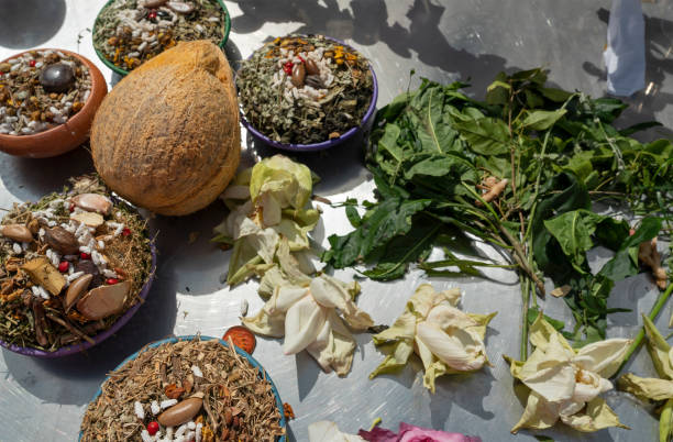 برندینگ دیجیتال پزشکی برای مراکز طب سنتی ایرانی در کرمان: ساخت وبسایت سلامت اعتمادساز و جذب مراجعین 2026 و طب سنتی ایرانی