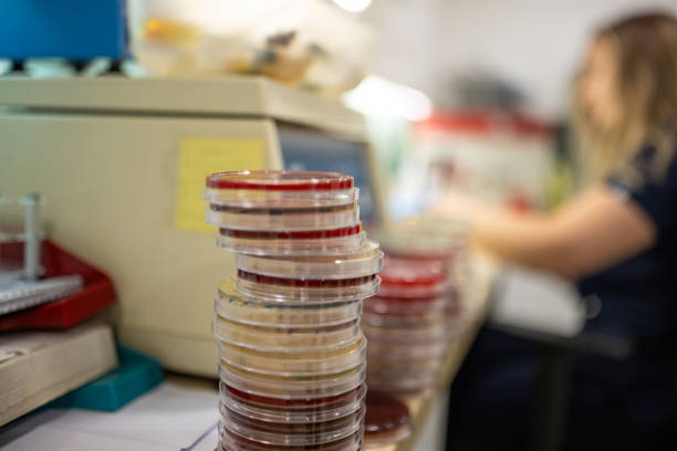 توسعه وب و طراحی پرتال نوبتدهی آنلاین برای آزمایشگاههای تخصصی پاتوبیولوژی در مشهد: ارتقاء UX بیماران و وبسایت سلامت 2026 - آزمایشگاه پاتوبیولوژی و نوبتدهی آنلاین