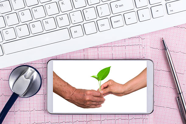 سیستم مدیریت سلامت و تجهیزات دیجیتال در بیمارستانهای قلب یزد: آینده پزشکی