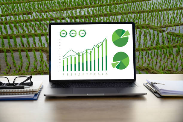 مفهوم فناوری کشاورزی: مردی کشاورز با تبلت در مزرعه - تحول دیجیتال مارکتینگ با طراحی سایت یکپارچه با نرم افزار حسابداری برای فروشگاههای کشاورزی در ساری