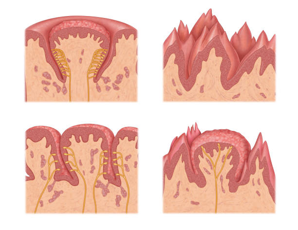 سئو بیماریهای لثه و ریشه، بهینهسازی فنی وبسایت پزشکی، طراحی وبسایت سلامت