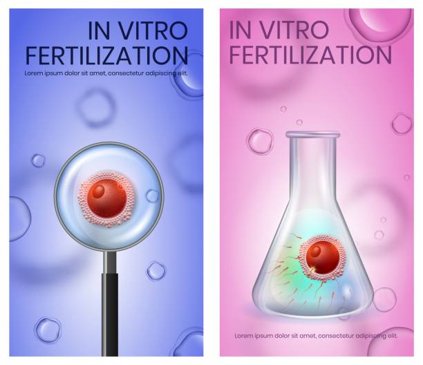 تصویر میکروسکوپی از فرایند IVF و تخمک‌گذاری در کلینیک ناباروری اصفهان - اعتمادسازی و برندینگ دیجیتال پزشکی