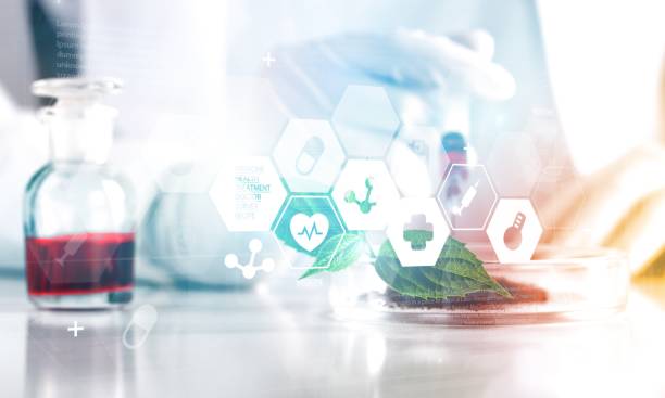 توسعه وب و سئو تخصصی برای شرکتهای دارویی قزوین: مدیریت محتوای علمی و داروسازی