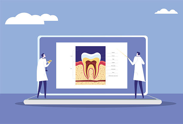 طراحی سایت پزشکی برای متخصص بیماریهای لثه و ریشه در کرمان: سئو و برندینگ دیجیتال 2026