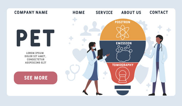 طراحی سایت دامپزشکی و بهینهسازی سئو برای کلینیکهای دامپزشکی تبریز