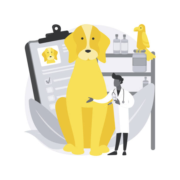 آموزش سئو برای کلینیکهای دامپزشکی در کرج: ارتقای برندینگ دیجیتال و وبسایت سلامت حیوانات در ۲۰۲۶ - مفهوم دیجیتالی کلینیک دامپزشکی