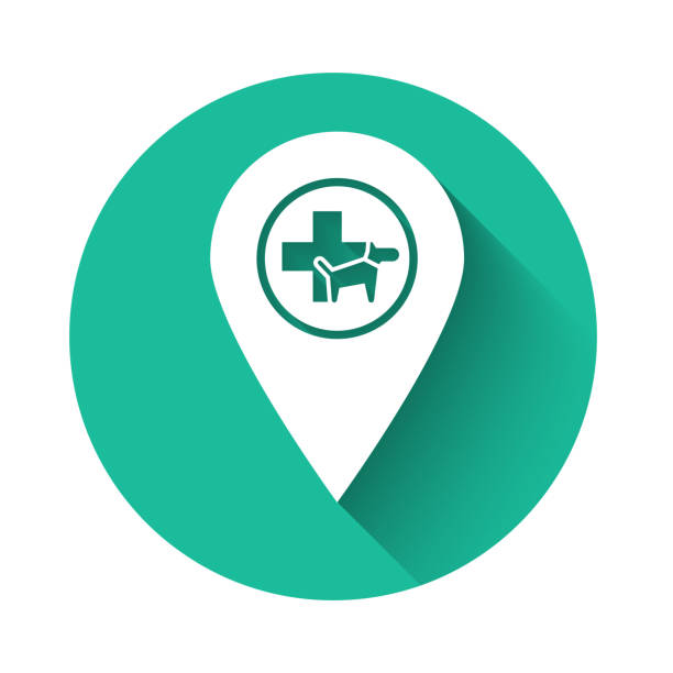 سئو تخصصی پزشکی دامپزشکی در رشت - نقشه کلینیک حیوانات و سئو محلی دامپزشکی