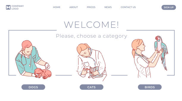 طراحی سایت پزشکی حرفهای برای بیمارستان دامپزشکی در کرج: برندینگ دیجیتال و افزایش اعتماد مراجعین ۲۰۲۶ - وبسایت بیمارستان حیوانات