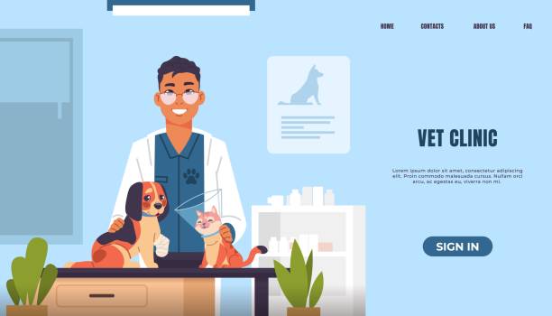 وب سایت کلینیک حیوانات حرفهای: نوبتدهی آنلاین دامپزشکی و افزایش اعتماد مراجعین
