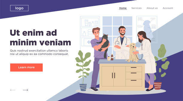 توسعه وب و سئو سایت دامپزشکان: تصویر وکتور از یک دفتر دامپزشکی. این تصویر میتواند نمادی از یک وبسایت درمانی باشد که خدمات پشتیبانی وبسایت درمانی را ارائه میدهد و دسترسی آنلاین دامپزشکی را فراهم میکند.