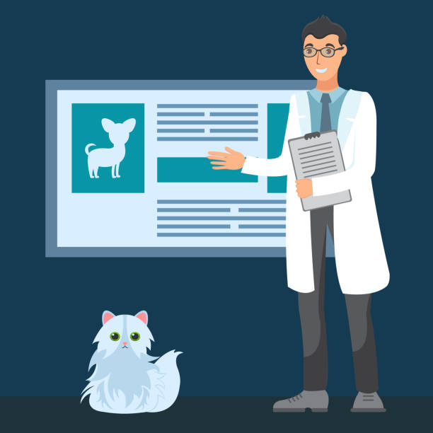 سئو تخصصی پزشکی برای کلینیکهای دامپزشکی رشت: جذب مخاطب محلی با توسعه وب و مشاوره دیجیتال مارکتینگ سلامت - طراحی وبسایت در ایران و سئو دامپزشکی