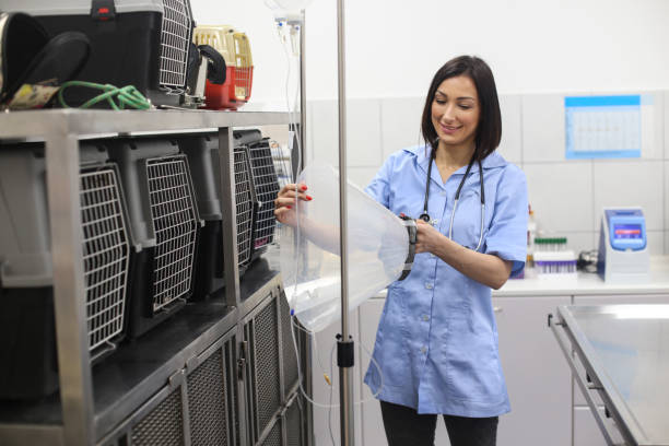 طراحی سایت پزشکی برای بیمارستانهای دامپزشکی در کرج 2026 - دامپزشک در حال ویزیت