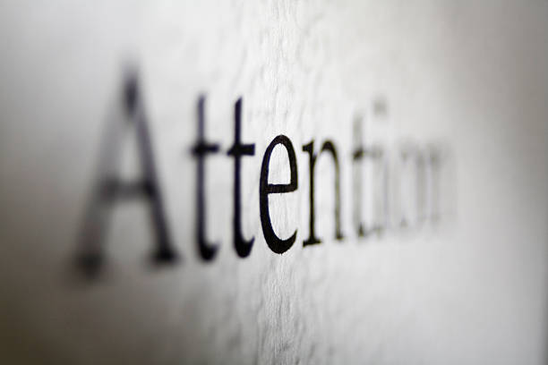 CRM پزشکی و نرمافزارهای مدیریت مطب برای مراکز سلامت روان در تبریز: آموزش سئو برای جذب مراجعین ۲۰۲۶ - نرم افزار مدیریت مطب و سئو