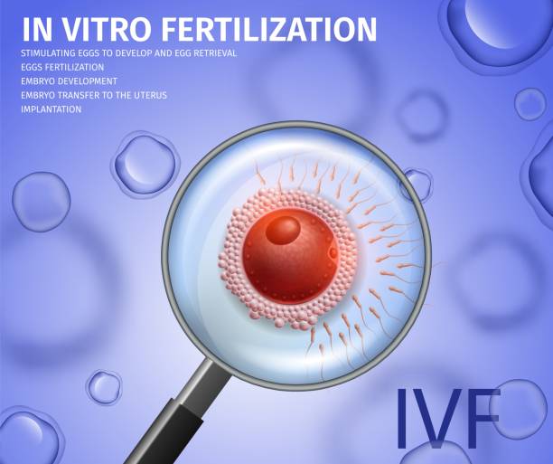 طراحی سایت پزشکی برای مراکز ناباروری و IVF در تهران: اهمیت اطلاعات در سایت IVF