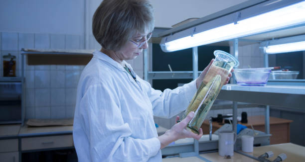 آزمایشگاه پاتوبیولوژی شیراز: طراحی UX بیمارمحور و بهبود تجربه بیمار در محیط آزمایشگاهی