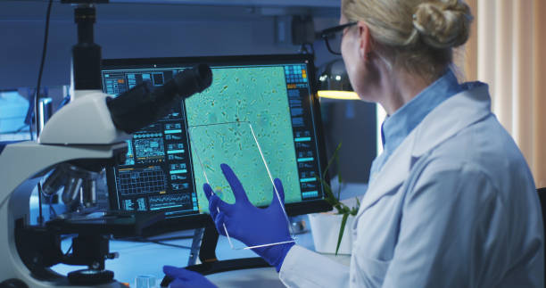 توسعه وب و پیادهسازی نرمافزارهای مدیریت جامع برای آزمایشگاههای پاتوبیولوژی در رشت: توسعه وب آزمایشگاهی، سیستم مدیریت اطلاعات آزمایشگاهی