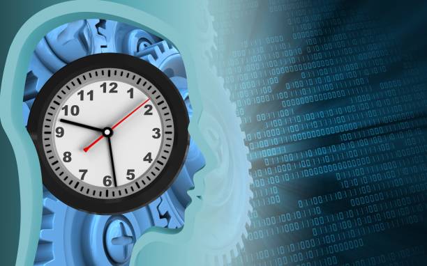 توسعه سیستم نوبتدهی روانشناسی شیراز، رابط کاربری مدرن