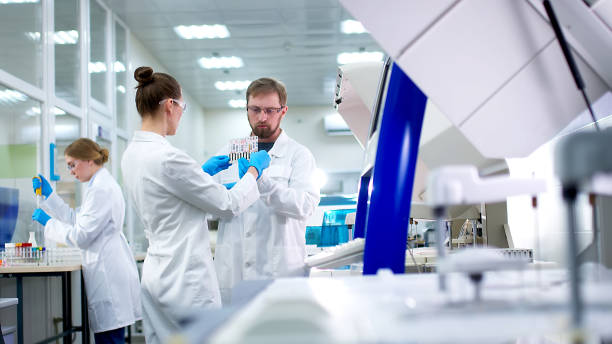 سئو سایت آزمایشگاه تخصصی در شیراز: افزایش رزرو آزمایش آنلاین و درآمد