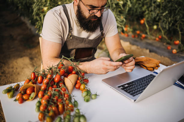 فروش مستقیم محصولات کشاورزی در فروشیاب: ارتباط با خریداران عمده - بازاریابی محصولات کشاورزی
