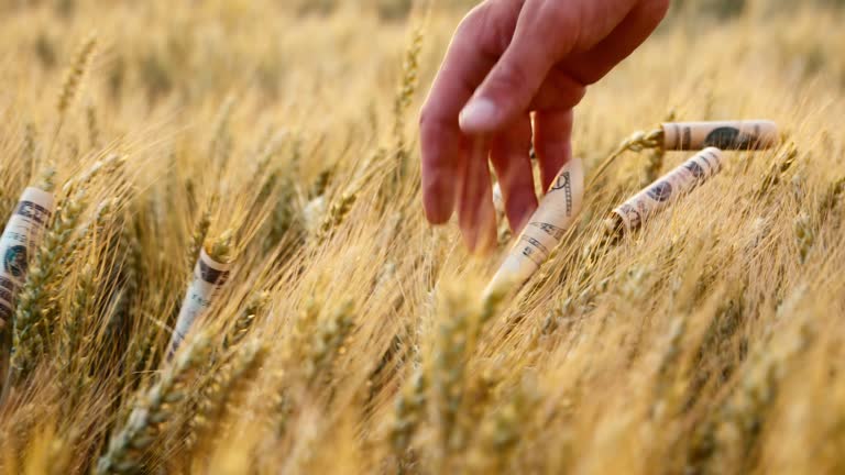 خرید عمده محصولات کشاورزی با قیمت دست اول در فروشیاب | آگهی عمده فروشی کشاورزی