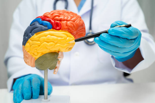 افزایش دسترسی بیماران به متخصص مغز و اعصاب در اصفهان - سئو پزشکان و نوبتدهی آنلاین پینوسایت