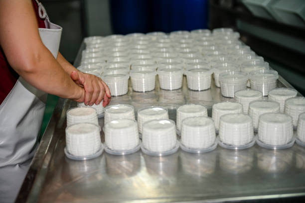 تولید لبنیات عمده و فرآوردههای دامی با کیفیت | فروشیاب برای خرید و فروش عمده