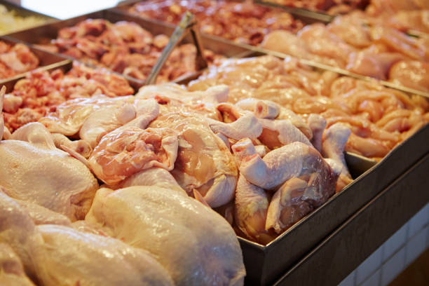 خرید عمده مرغ و گوشت تازه | بازار عمده فروشان، فروش‌یاب، خرید مستقیم از فروشنده