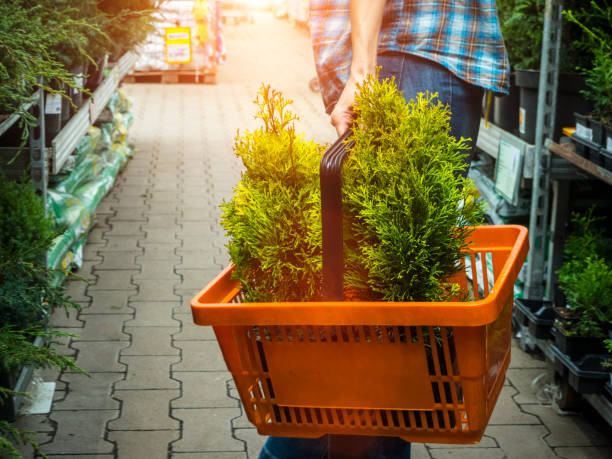 خرید عمده بذر و نهال با بهترین کیفیت در فروش‌یاب – تامین بذر و نهال – نیازمندی‌های تجاری