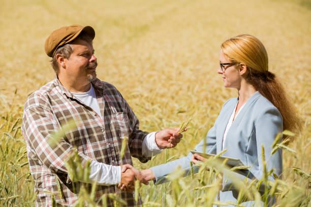 بررسی کیفیت غلات توسط متخصص کشاورزی - فروشیاب، خرید و فروش عمده، آگهی تجاری