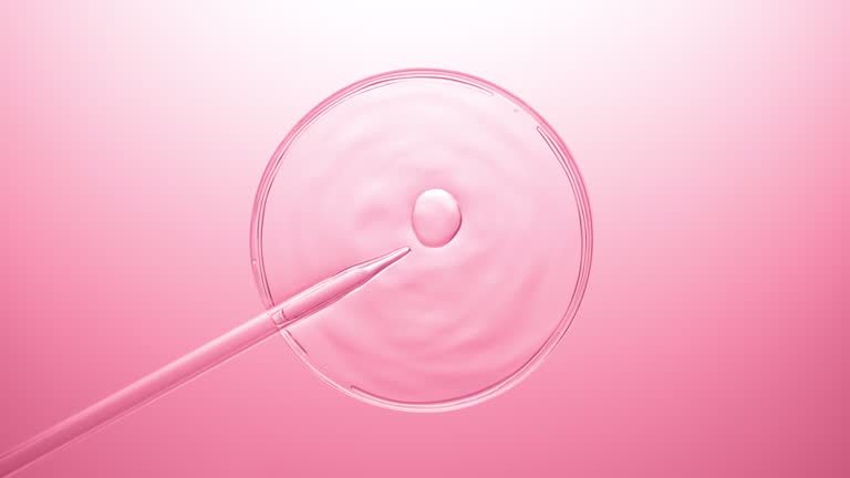 بهبود تجربه کاربری بیمار با طراحی سایت پزشکی تخصصی - مراکز ناباروری و IVF در تهران
