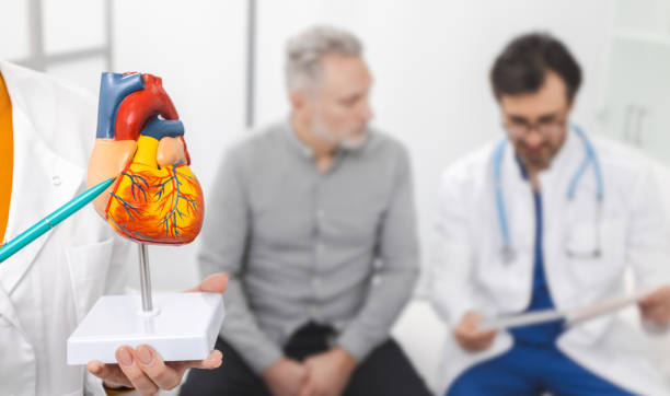 فوق تخصص قلب در حال توضیح آناتومی قلب | نوبتدهی آنلاین قلب اصفهان