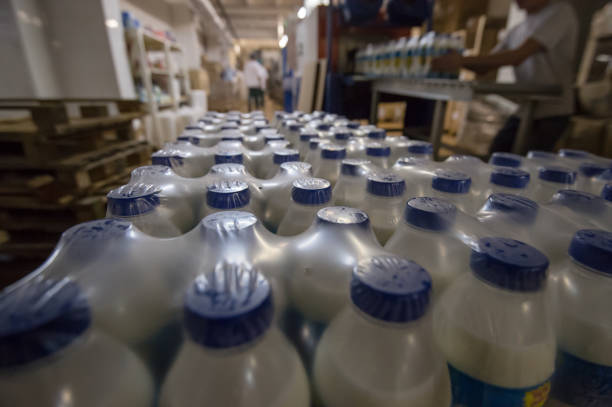 خرید و فروش عمده لبنیات: شیر، ماست، پنیر مستقیم از تولیدکننده در فروشیاب، قیمت رقابتی، آگهی عمده فروشی