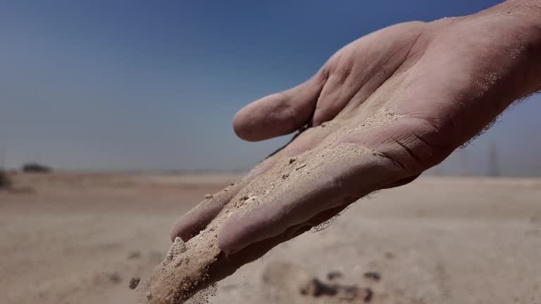 تجارت خشکبار در مناطق خشک، قیمت عمده پسته و بادام در فروش‌یاب | فروش‌یاب، خرید و فروش عمده، آگهی تجاری