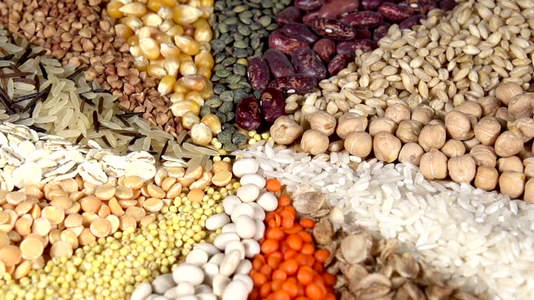 حبوبات و غلات عمده: عرضه مستقیم برای تجار و بازرگانان در فروشیاب - عرضه مستقیم حبوبات - قیمت رقابتی