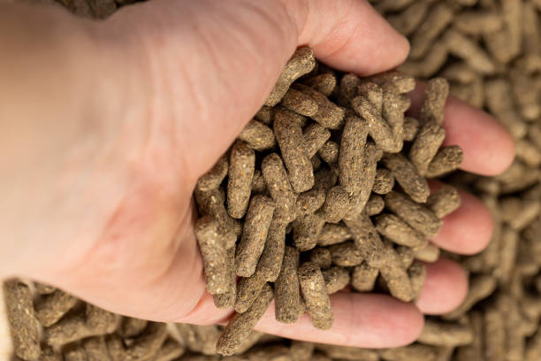 دامپروری: خرید و فروش عمده مواد پروتئینی با کیفیت بالا در فروش‌یاب - مواد پروتئینی با کیفیت - بازار عمده فروشان