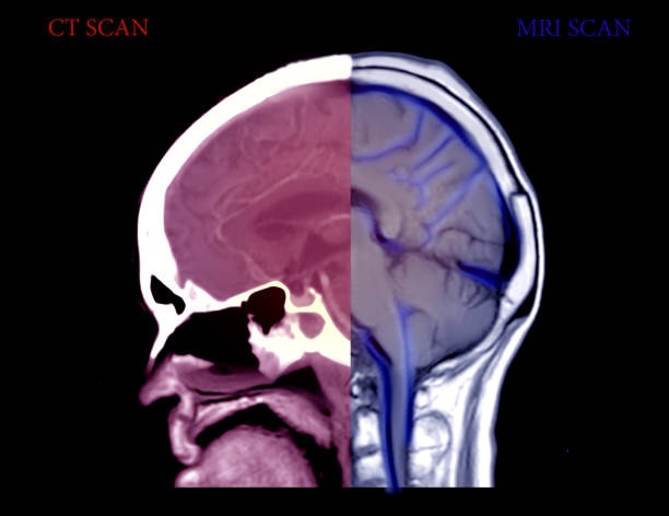 سئو تخصصی پزشکی برای مراکز تصویربرداری MRI و CT Scan در شیراز: ارتقای برندینگ دیجیتال و Visibility وبسایت سلامت ۲۰۲۶ - افزایش Visibility وبسایت پزشکی