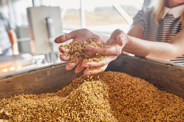 فروش‌یاب: برداشت غلات گندم، تامین مواد اولیه برای خرید عمده خشکبار و محصولات وابسته