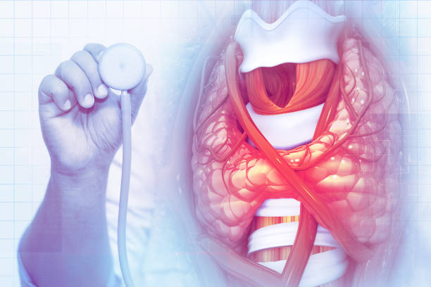 برندینگ دیجیتال پزشکی برای فوق تخصص گوارش و کبد در رشت: طراحی UX بیماران و نوبتدهی آنلاین هوشمند ۲۰۲۶ - فوق تخصص گوارش و کبد - رشت