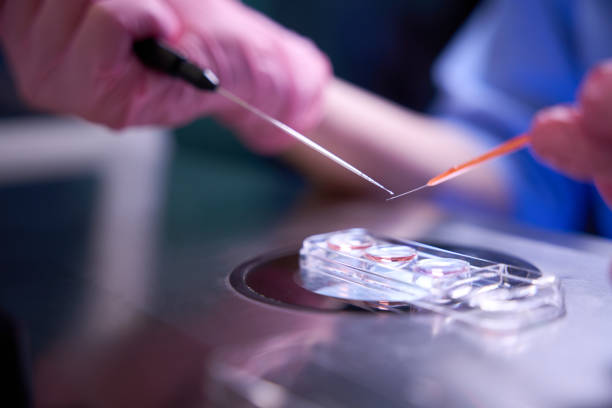 بهرهوری و مدیریت نوین مراکز ناباروری شیراز، نوبتدهی آنلاین