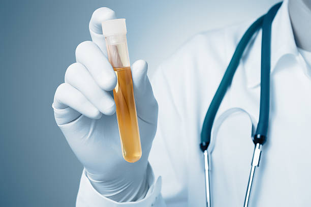 خدمات فوق تخصص کلیه و مجاری ادراری در یزد؛ اهمیت تجربه کاربری وبسایت سلامت برای جذب بیمار